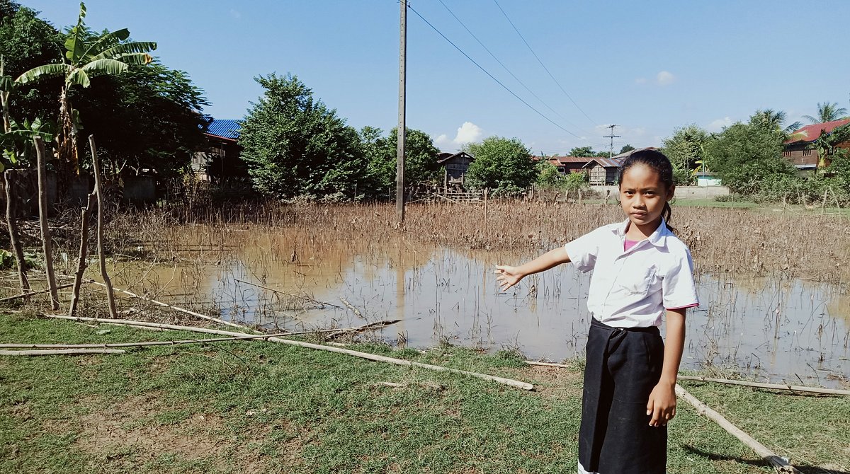 Au Laos, une jeune fille montre du doigt un champ de céréales détruit par une inondation.